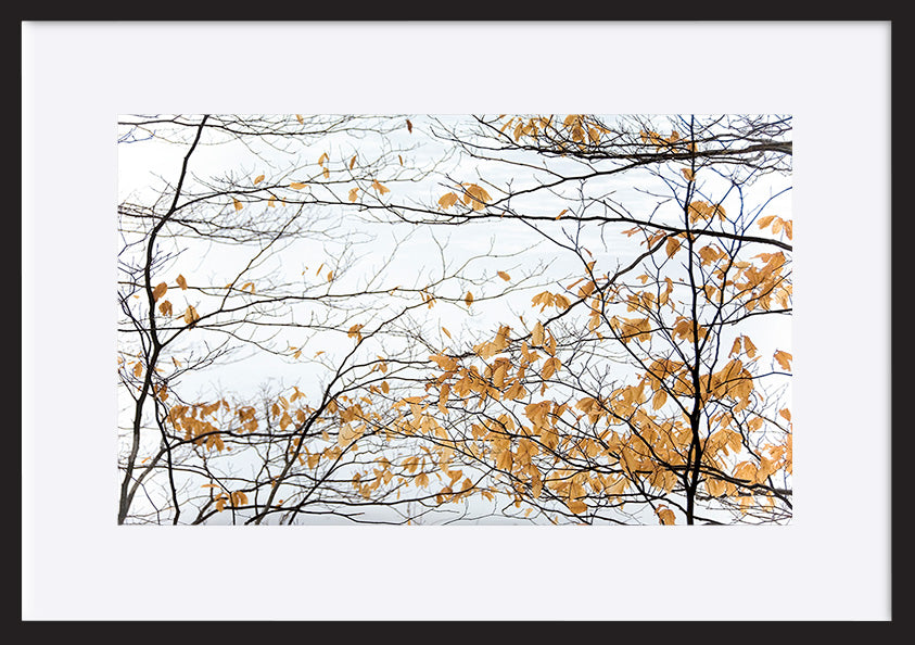 paper_frame