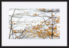 paper_frame