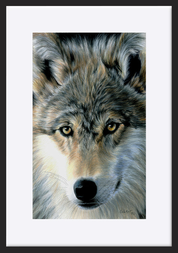 paper_frame