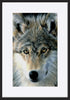 paper_frame