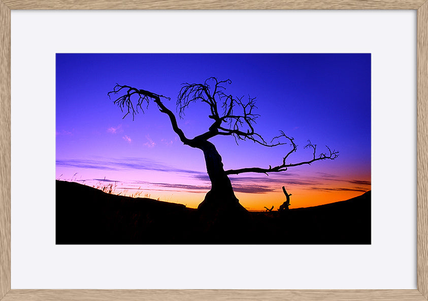 paper_frame