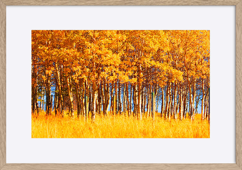 paper_frame