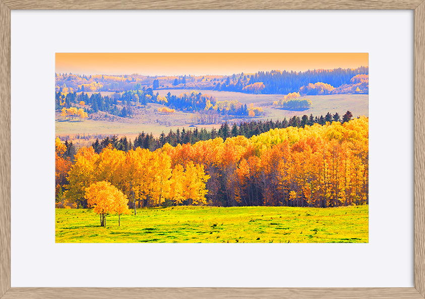 paper_frame