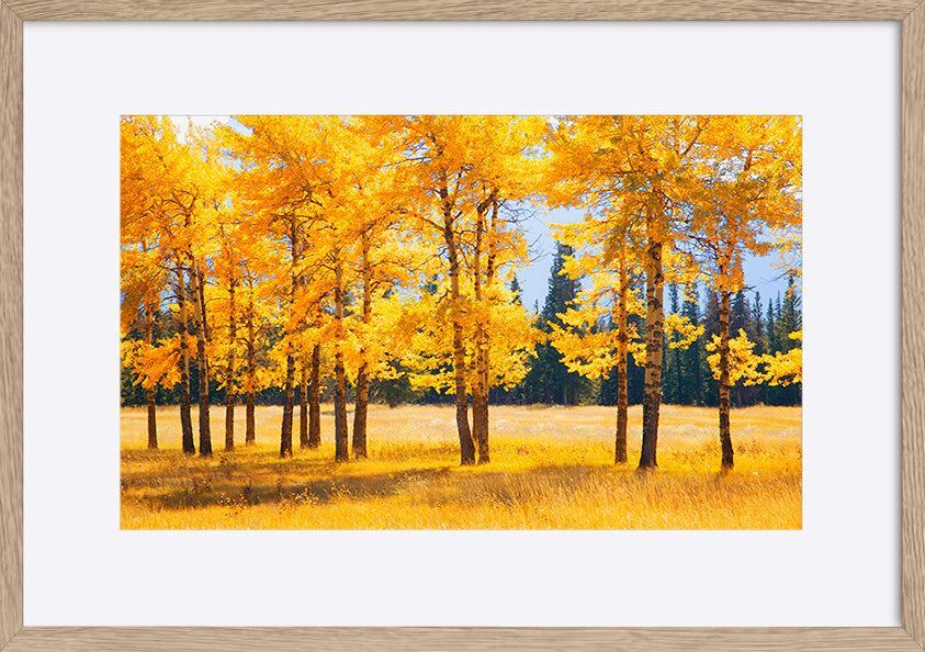 paper_frame