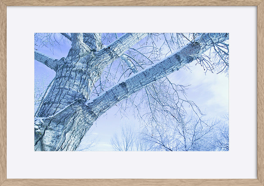 paper_frame