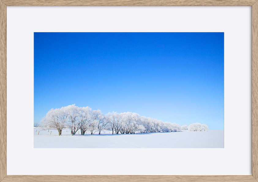 paper_frame