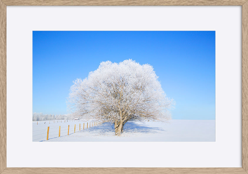 paper_frame