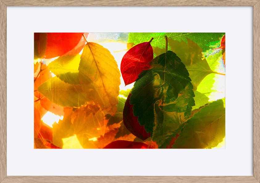paper_frame