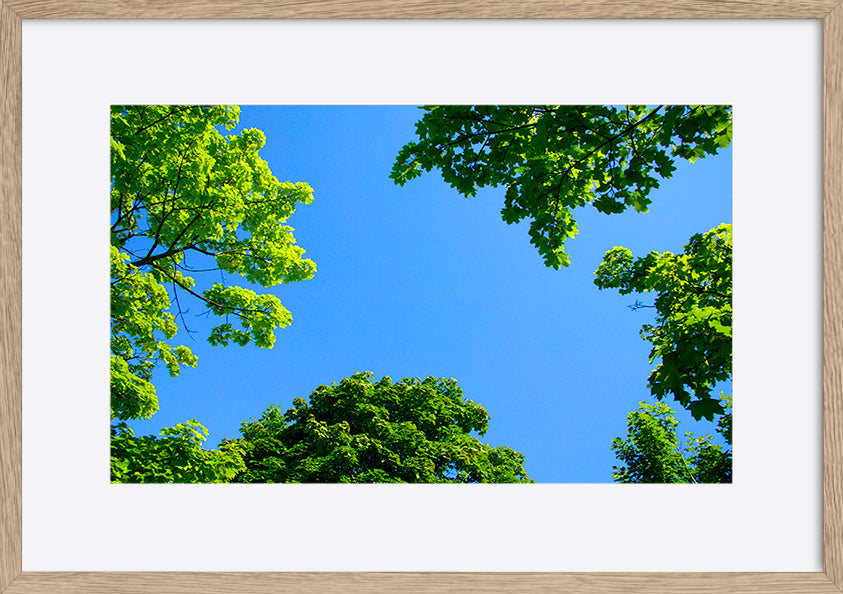 paper_frame