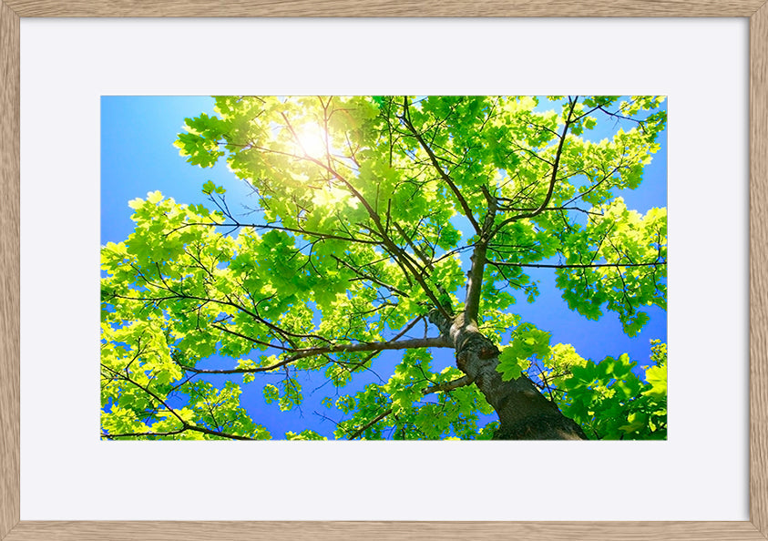 paper_frame