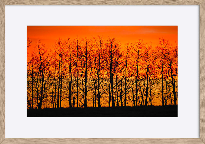 paper_frame