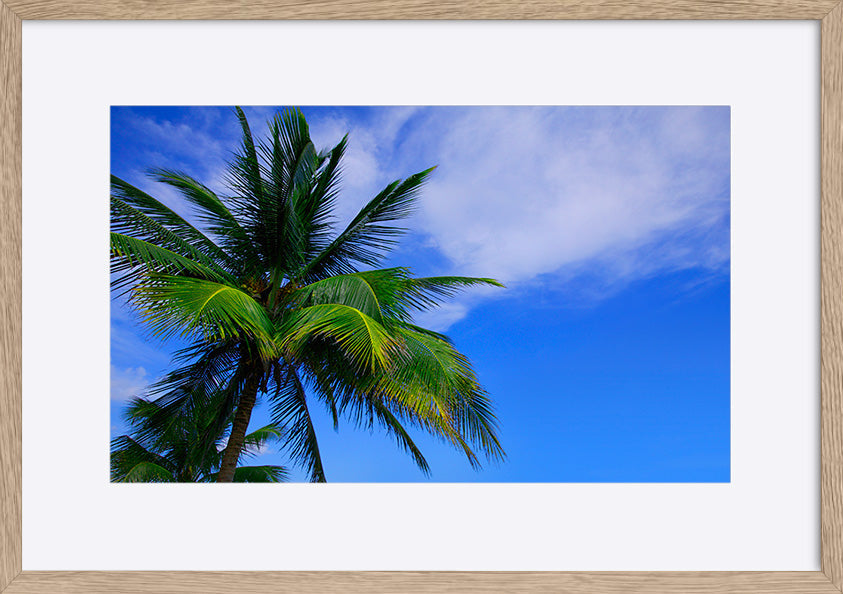 paper_frame