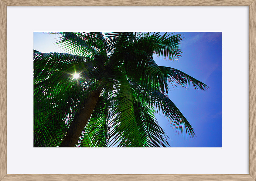 paper_frame