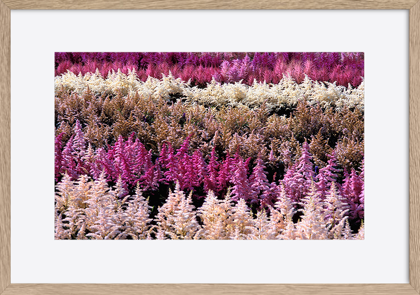paper_frame