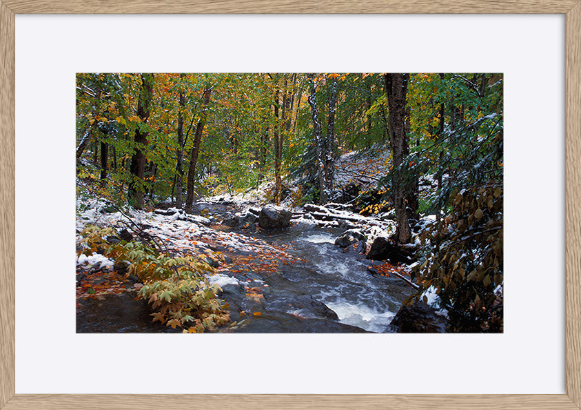paper_frame