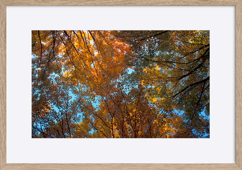 paper_frame