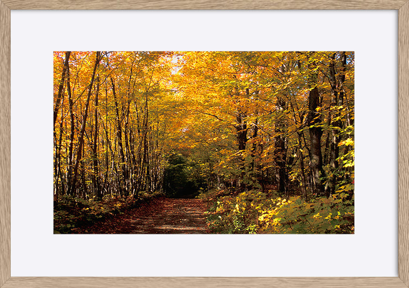 paper_frame