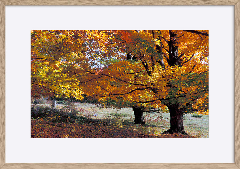 paper_frame