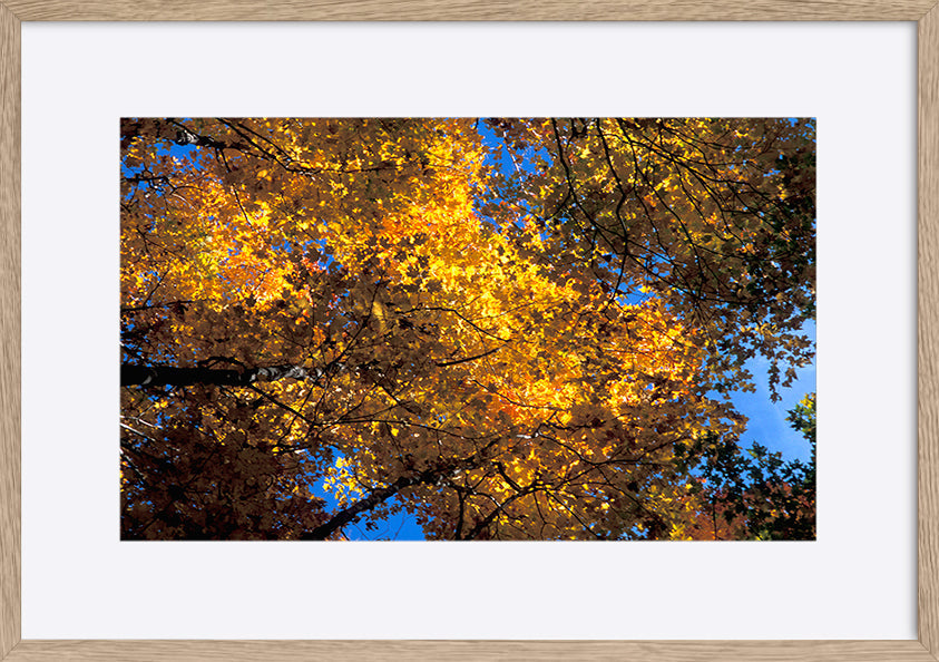 paper_frame