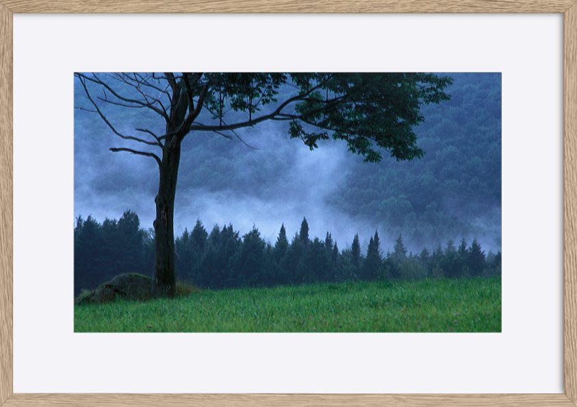 paper_frame