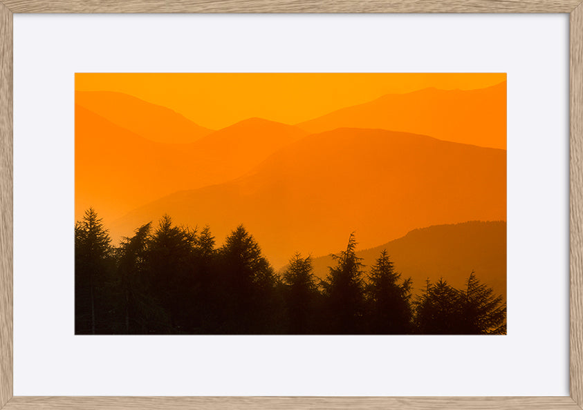 paper_frame