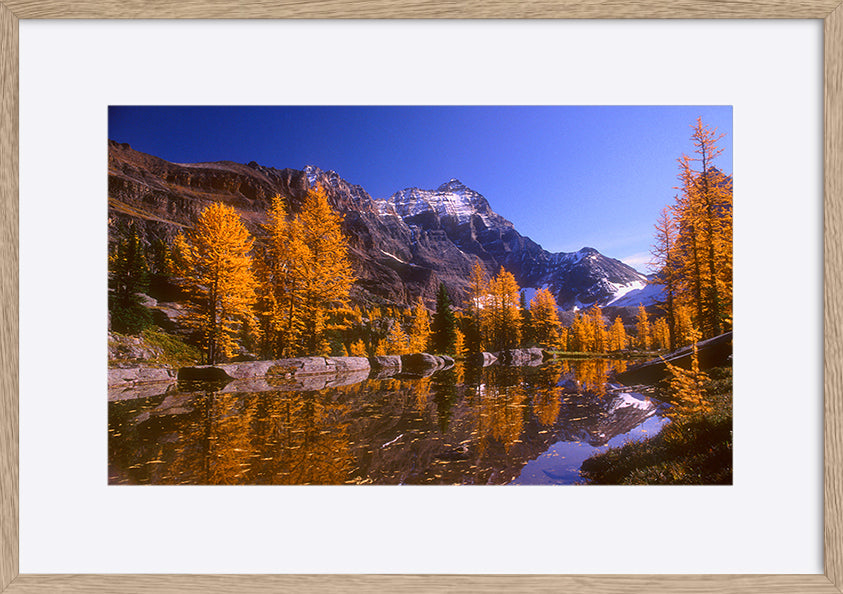 paper_frame