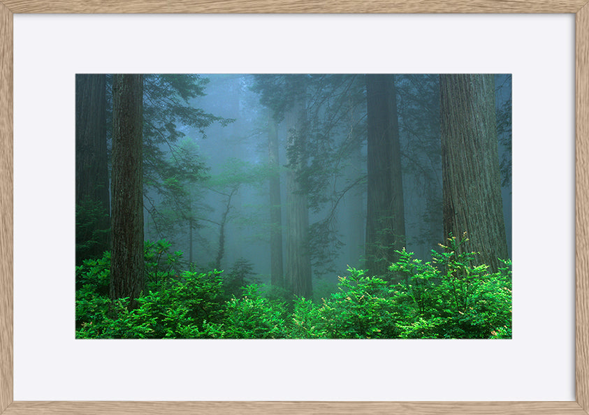 paper_frame