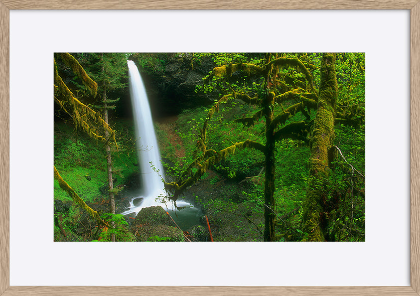 paper_frame