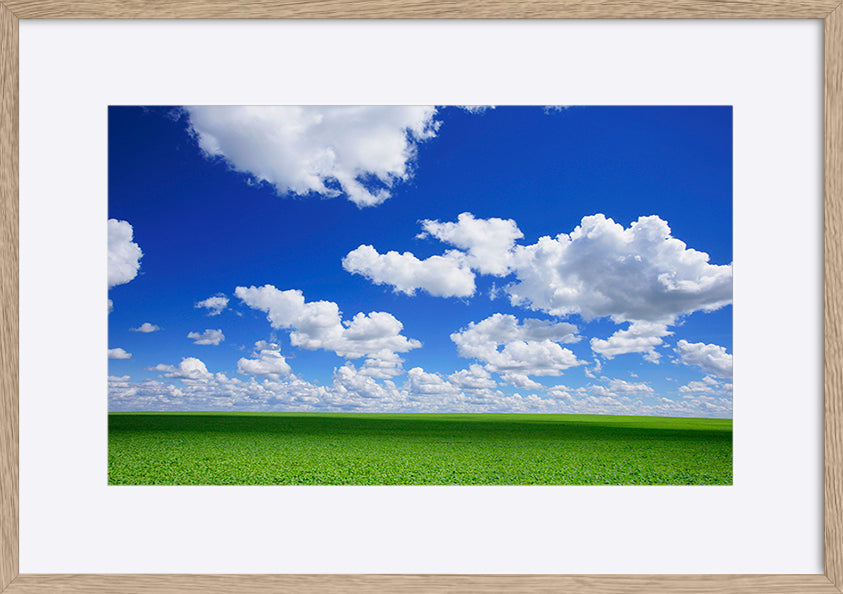 paper_frame