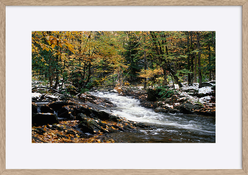 paper_frame