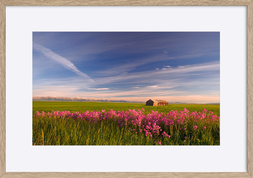 paper_frame