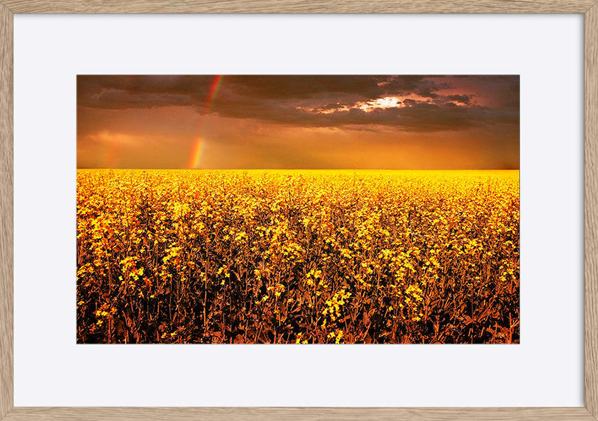 paper_frame