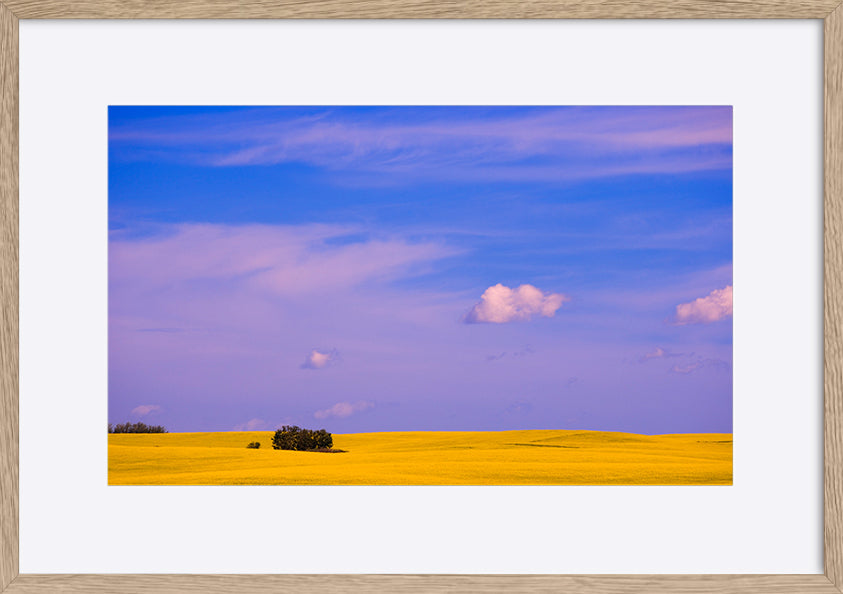paper_frame