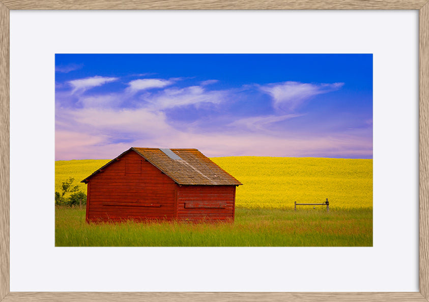 paper_frame
