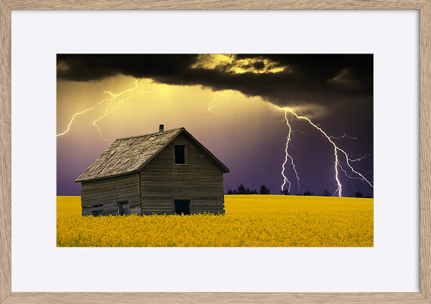 paper_frame