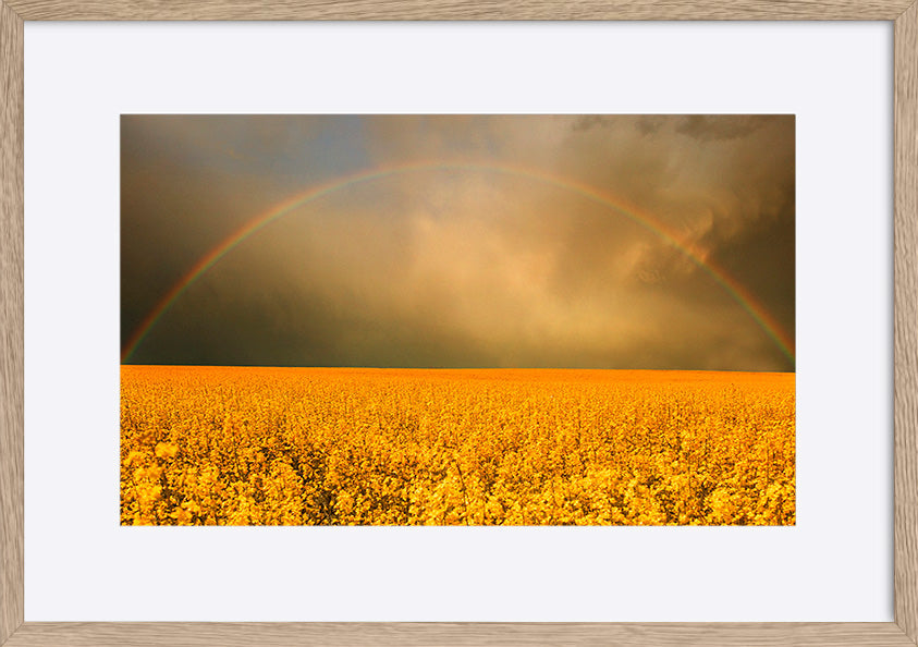 paper_frame