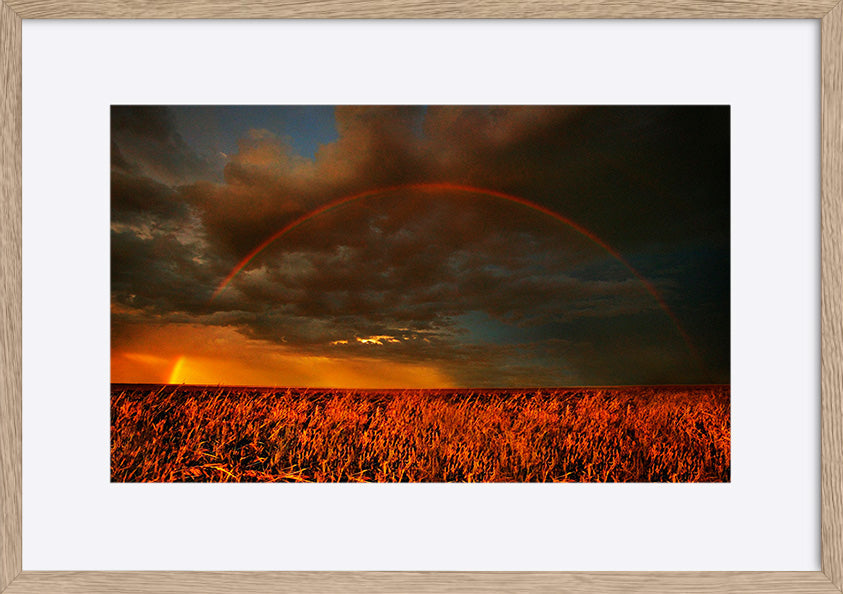 paper_frame
