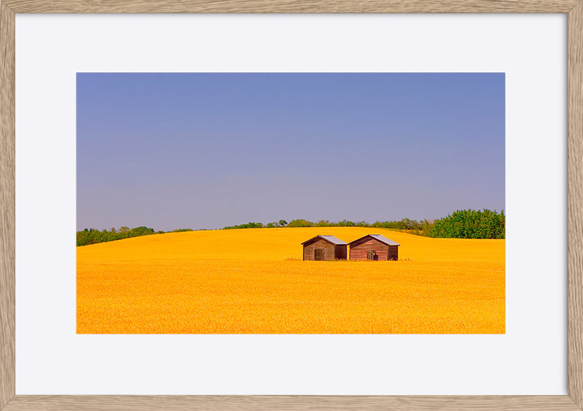 paper_frame