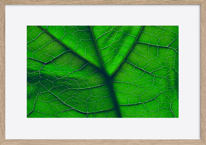 paper_frame