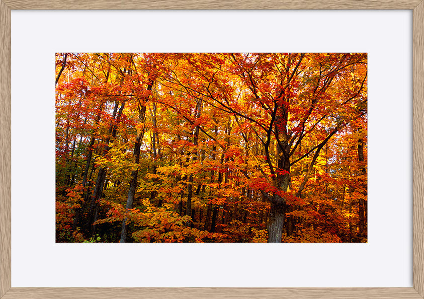 paper_frame