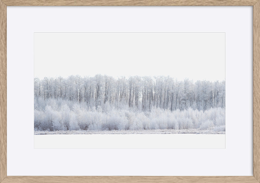 paper_frame