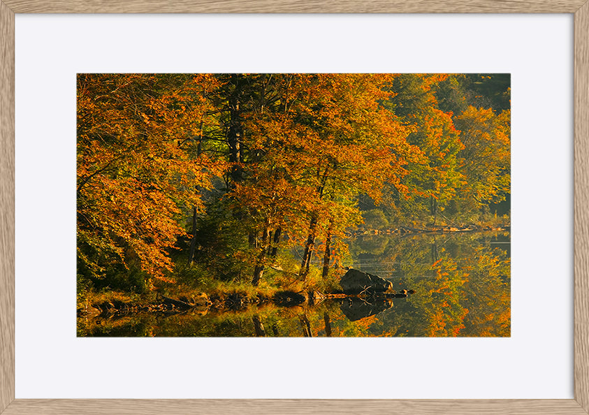 paper_frame