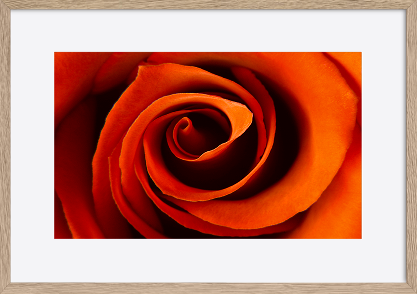 paper_frame