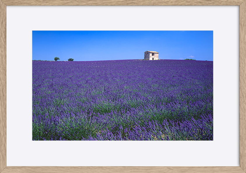 paper_frame