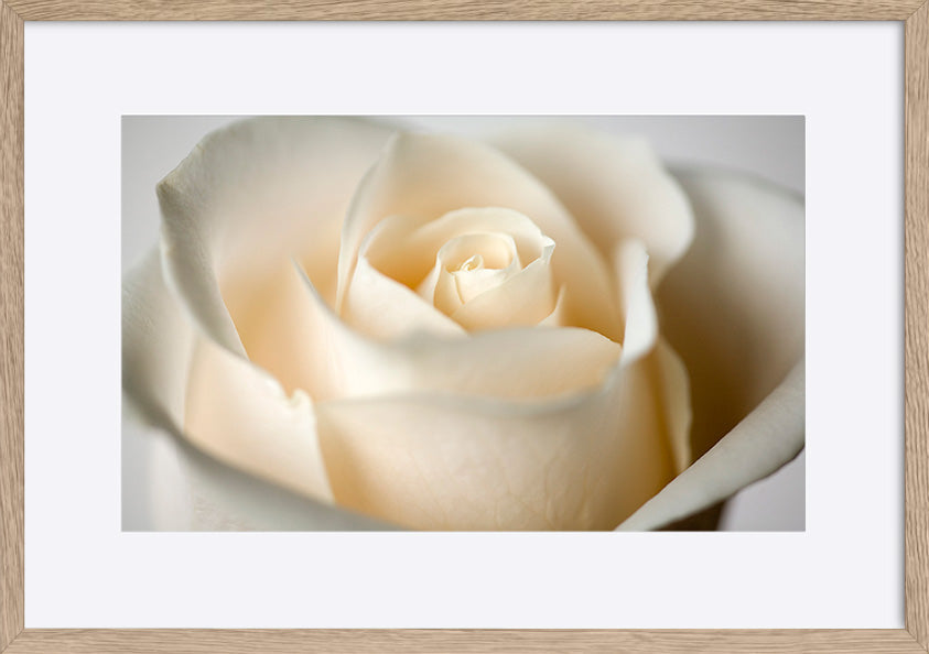 paper_frame