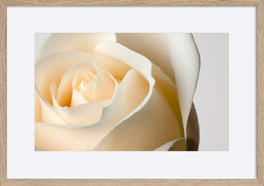 paper_frame
