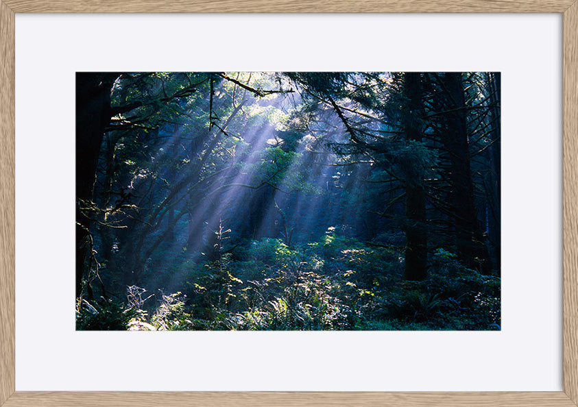 paper_frame