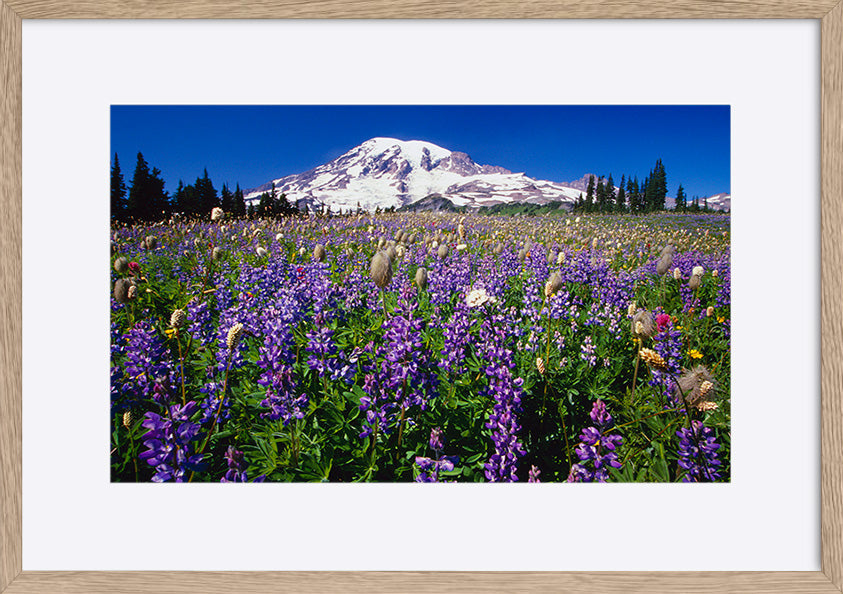 paper_frame