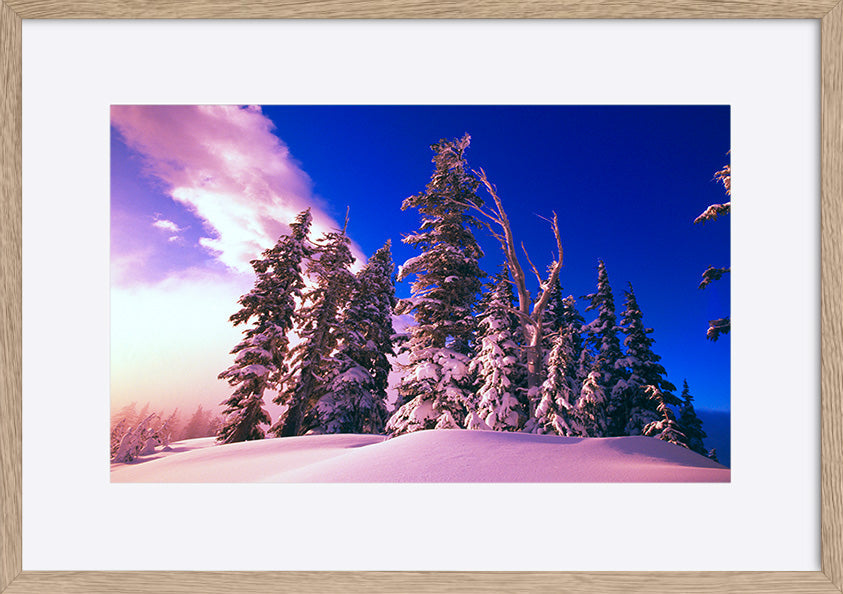 paper_frame