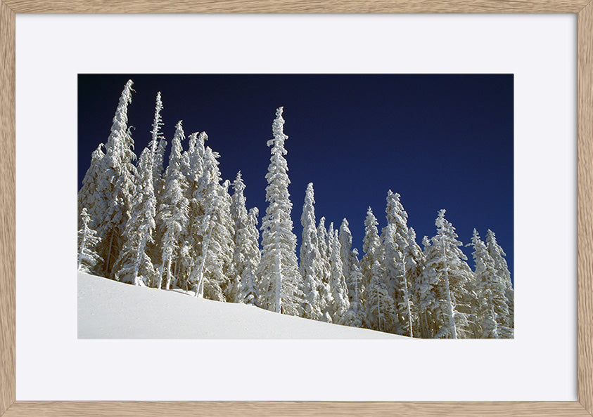 paper_frame